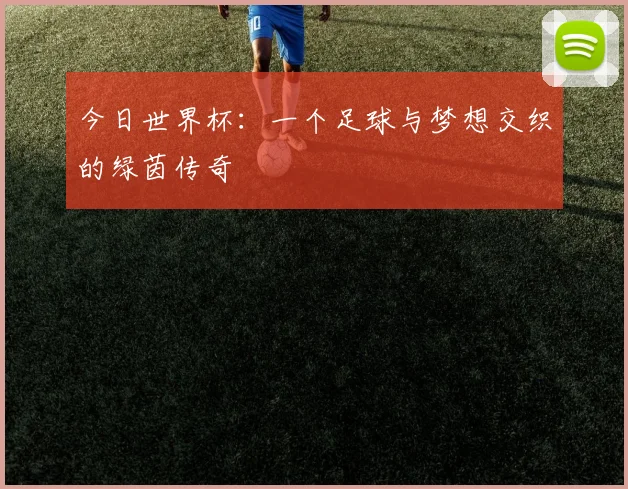 今日世界杯：一个足球与梦想交织的绿茵传奇