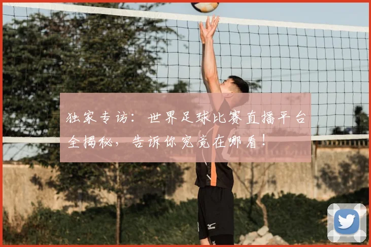 独家专访:世界足球比赛直播平台全揭秘,告诉你究竟在哪看!