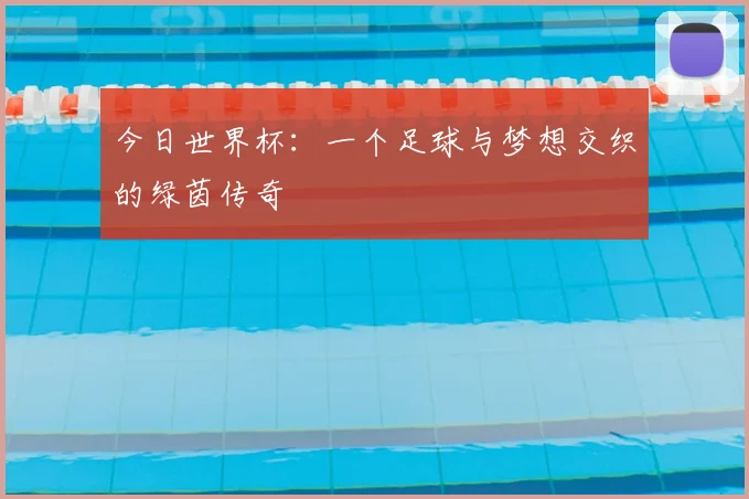 今日世界杯：一个足球与梦想交织的绿茵传奇